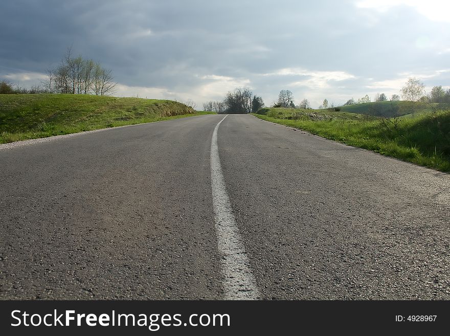 Road drive in the forest