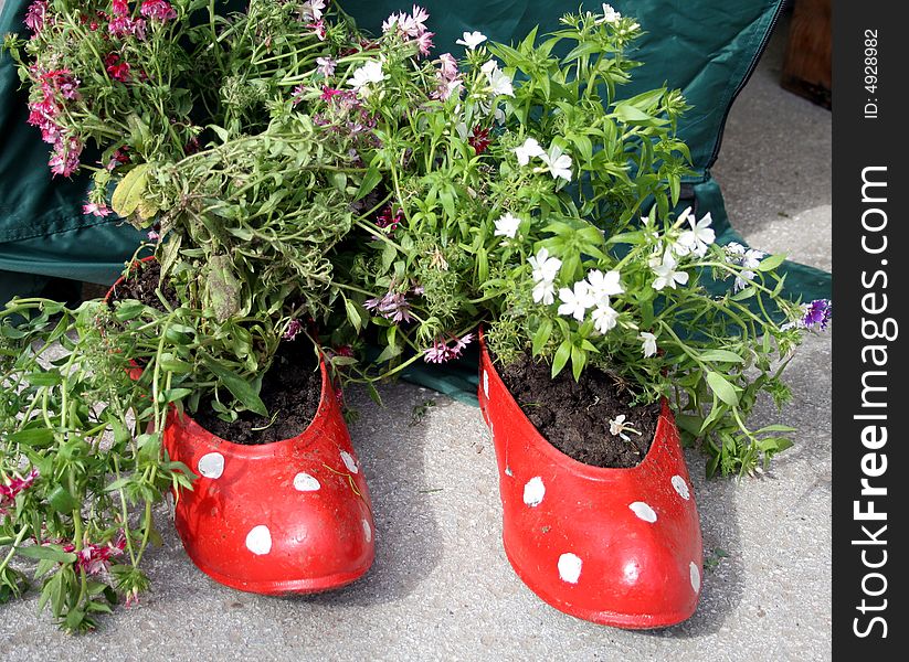 Blooming plants growing in red rubbers. Blooming plants growing in red rubbers