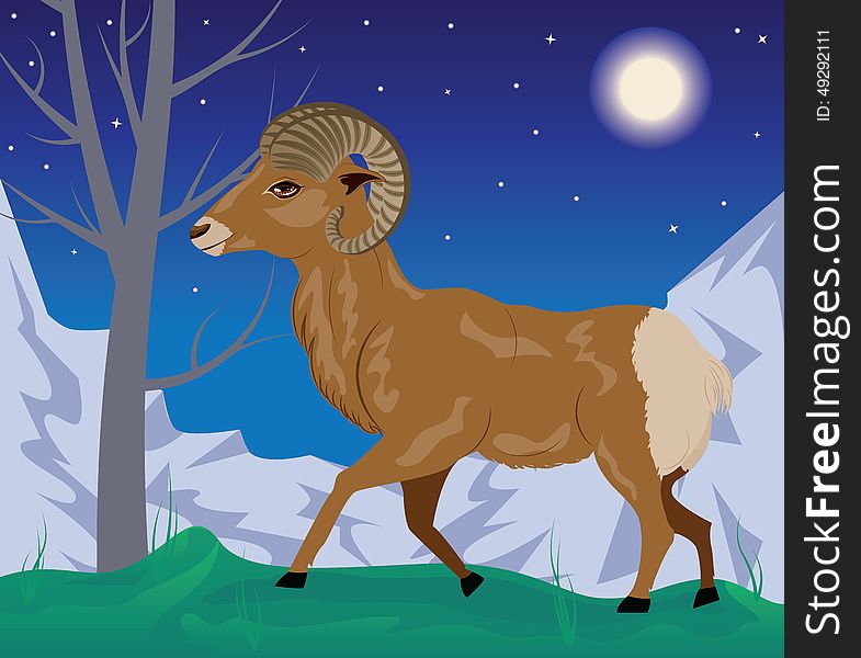 Cartoon illustration with wild big horned sheep in the mountains. Cartoon illustration with wild big horned sheep in the mountains.