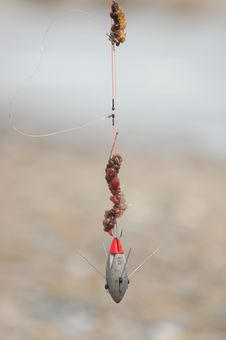 Hook And Bait Royalty Free Stock Photos Hook And Bait Royalty Free Stock Photos
