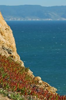 Point Reyes Royalty Free Stock Photo Point Reyes Royalty Free Stock Photo