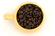 Cup Of Dark Roast Coffee Beans Stock Photography Cup Of Dark Roast Coffee Beans Stock Photography