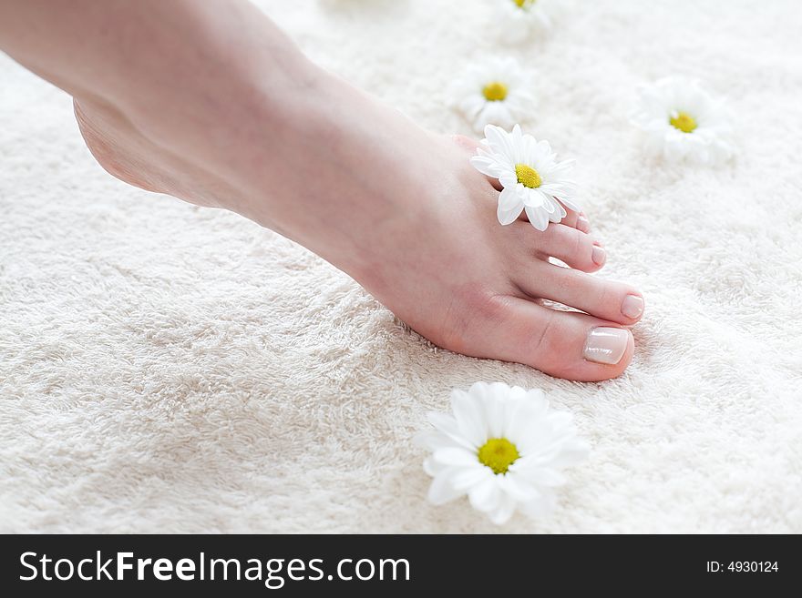 Female foot on the soft towel with white daisies around. Female foot on the soft towel with white daisies around.