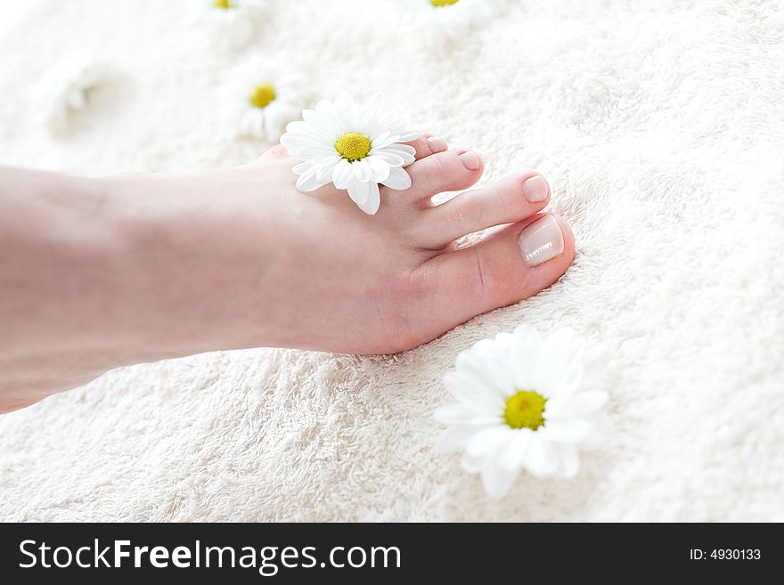 Female foot on the soft towel with white daisies around. Female foot on the soft towel with white daisies around.