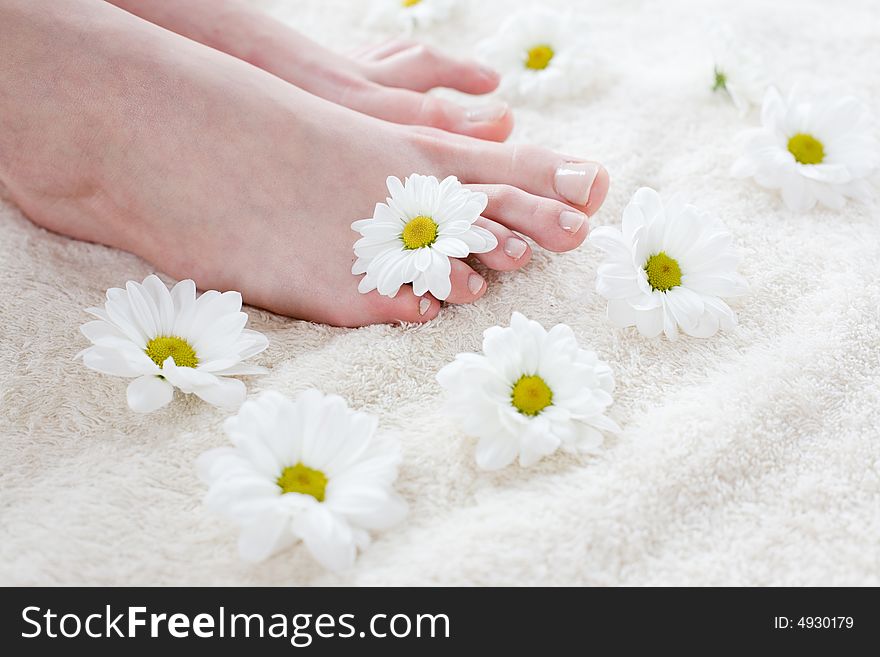 Beautiful female feet on the soft towel / Spa treatment. Beautiful female feet on the soft towel / Spa treatment