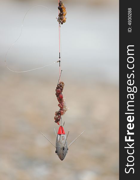 A photo of a fishing hook and bait at the seaside