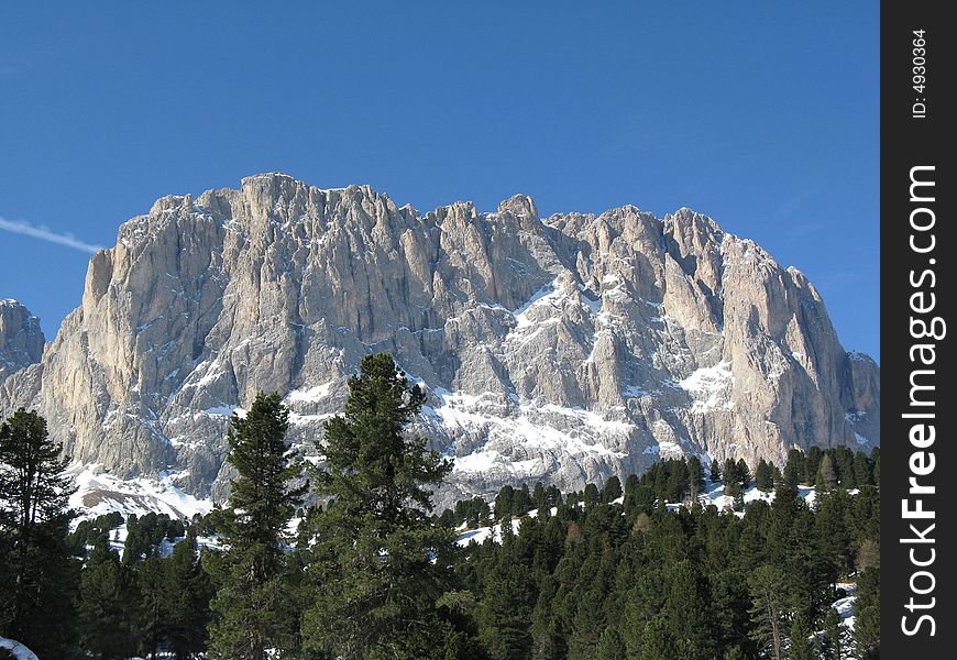 The mount Sassolungo and the trees