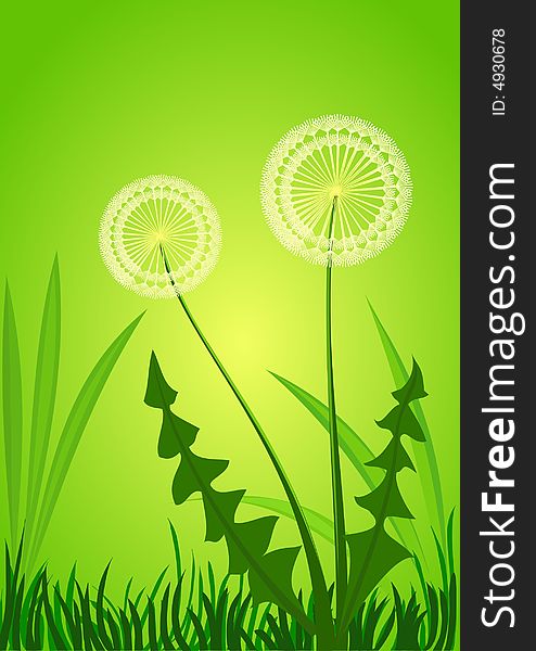 Green floral background with dandelion