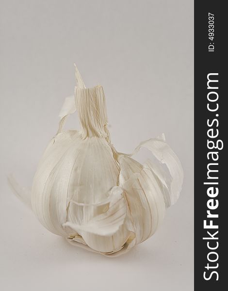 A garlic on a white background