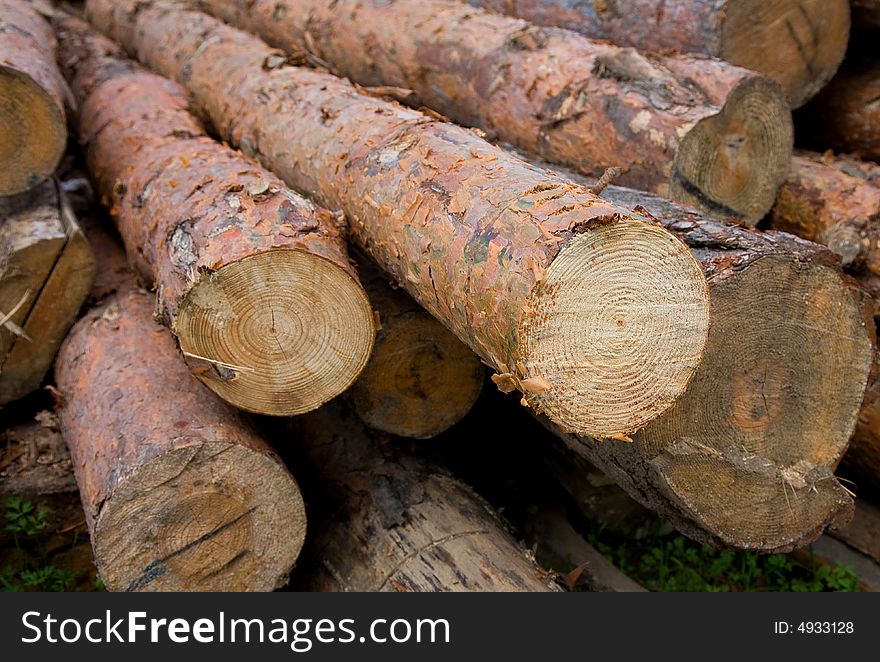 Logs Neatly Stacked