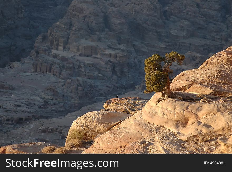 Taken from the place of high sacrifice, Petra, Jordan. Taken from the place of high sacrifice, Petra, Jordan