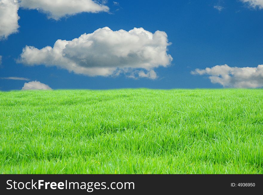 Green grasland with blue sky and clouds. Green grasland with blue sky and clouds