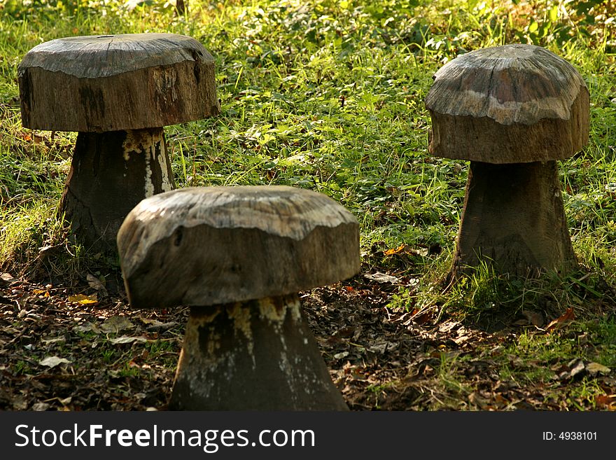 Wooden toad stool seats in the forest