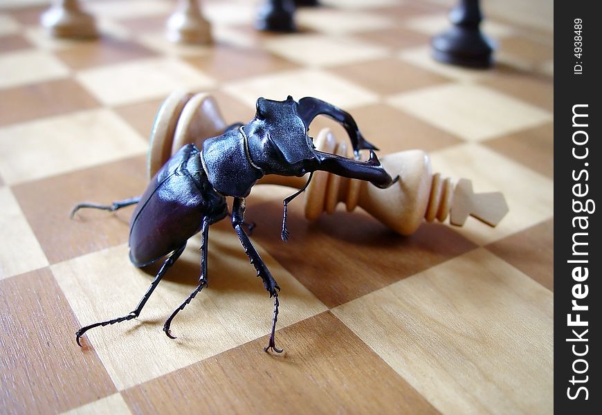 Large stag beetle taking down a white chess king, with other chess figures watching from a distance. Large stag beetle taking down a white chess king, with other chess figures watching from a distance