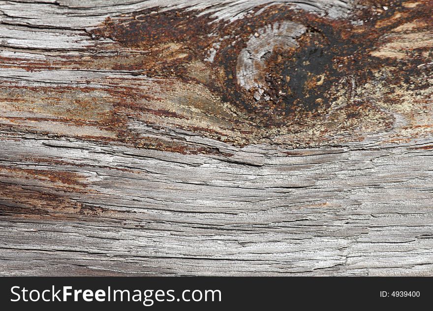 Old wood knot bleached color wooden background. Old wood knot bleached color wooden background