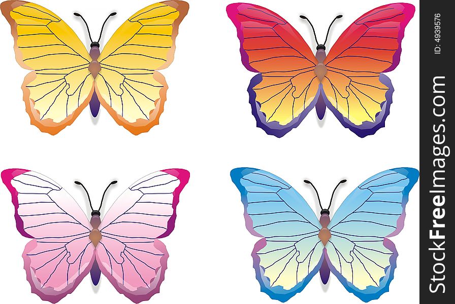 Illustration of butterfly set on white