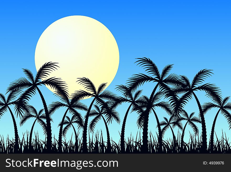 Vector illustration of tropic sunrise