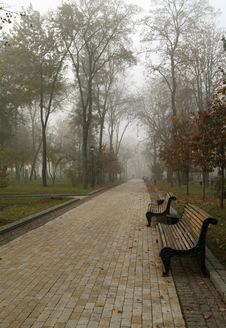 Autumn Morning In Park Stock Photography Autumn Morning In Park Stock Photography
