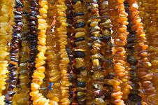 Amber Nacklace Royalty Free Stock Images Amber Nacklace Royalty Free Stock Images