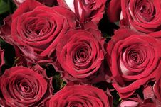 Bouquet Of Roses Stock Photography Bouquet Of Roses Stock Photography