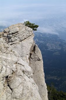 Tree On The Cliff. Stock Images Tree On The Cliff. Stock Images