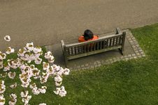 Bench In A Park Royalty Free Stock Images Bench In A Park Royalty Free Stock Images
