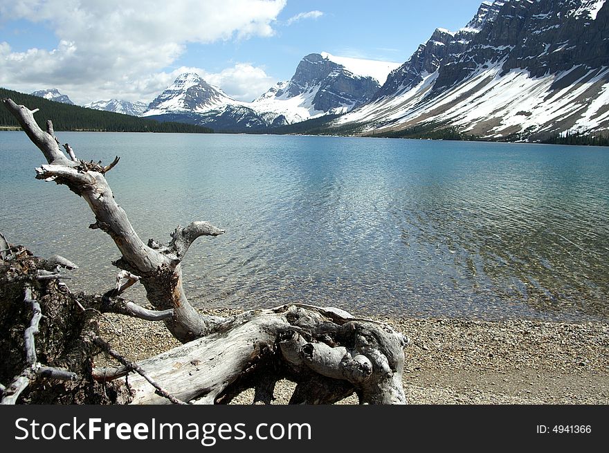 Canadian Lake And Mountains