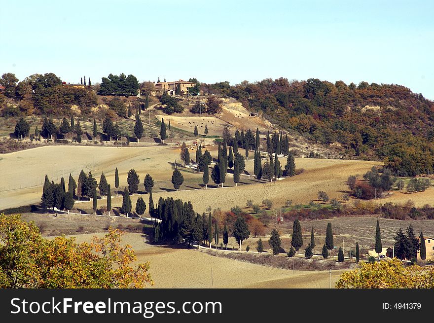 Lane surrounded by cypress trees in Tuscan landscape. Lane surrounded by cypress trees in Tuscan landscape