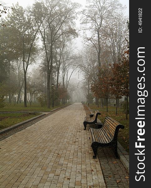 Autumn morning in park. Benchs in Fog