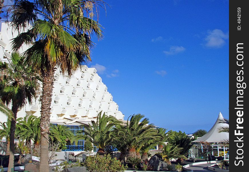 SPA resort on the Lanzarote. a park area with palms and tropical nature. SPA resort on the Lanzarote. a park area with palms and tropical nature