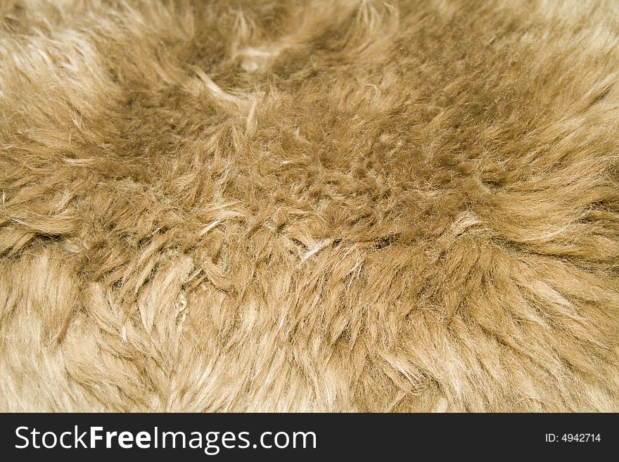 Fur Texture