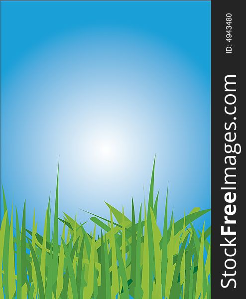 Grass against blue sky backgrounds