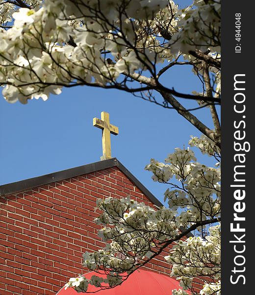 Church Cross Framed By Blossoms