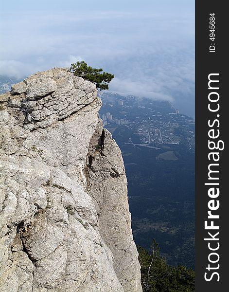 Overview landscapes. Tree on the cliff.