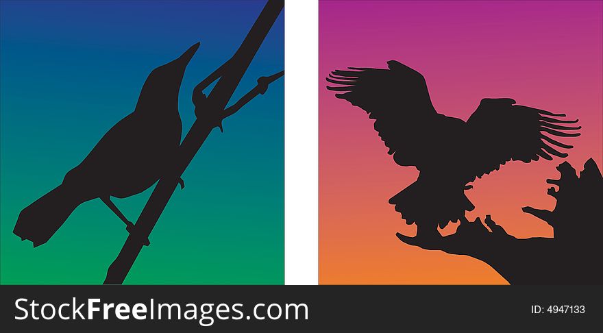 Bird silhouette vector illustration vector