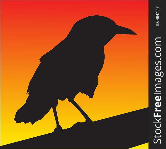 Bird Silhouette  Illustration