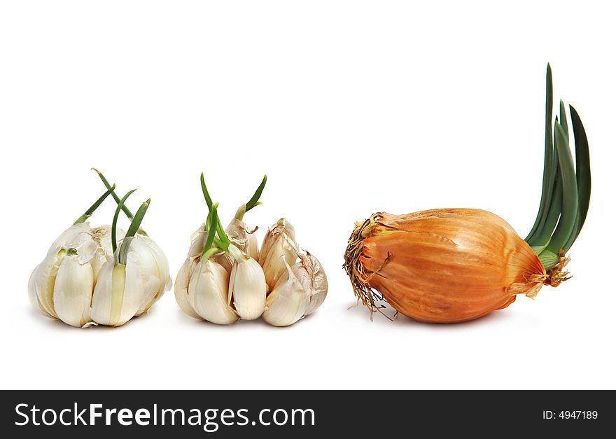 Bulbs of garlic and onion on white background