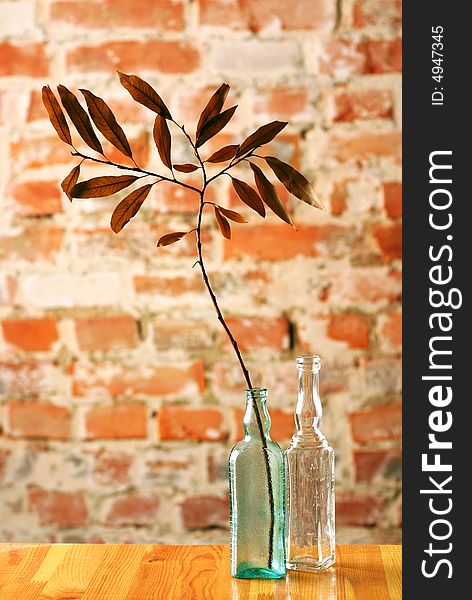 Glass bottles with dry delicate twig on brick wall background. Glass bottles with dry delicate twig on brick wall background