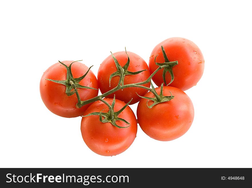 A branch of red tomatoes, isolated. A branch of red tomatoes, isolated