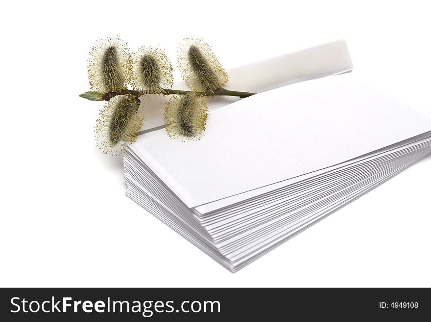 The branch of a willow lays on a pile of envelopes