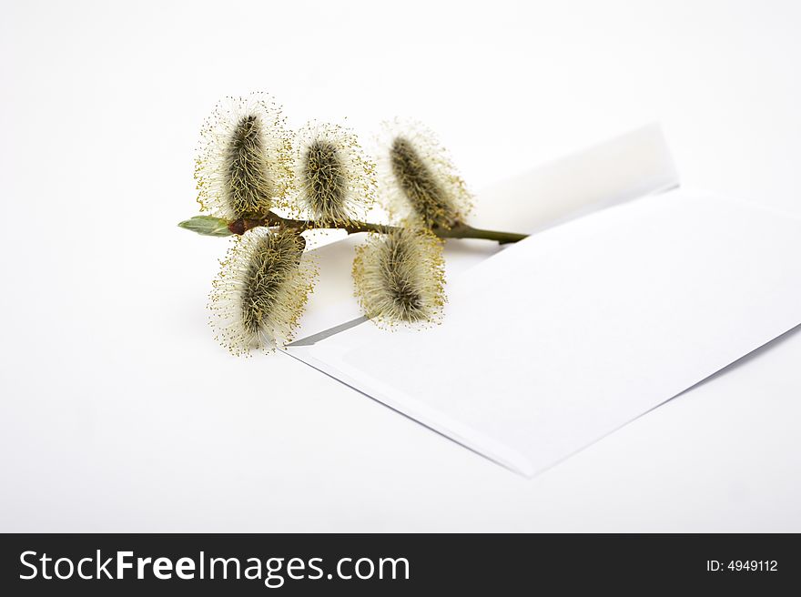 The branch of a willow lays on a pile of envelopes