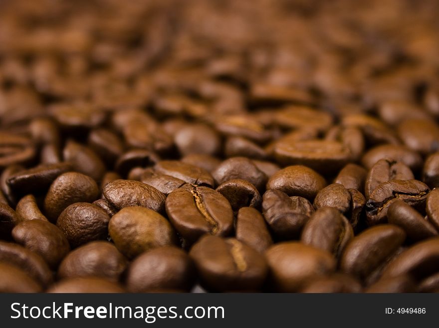 Close up pictures of coffee beans