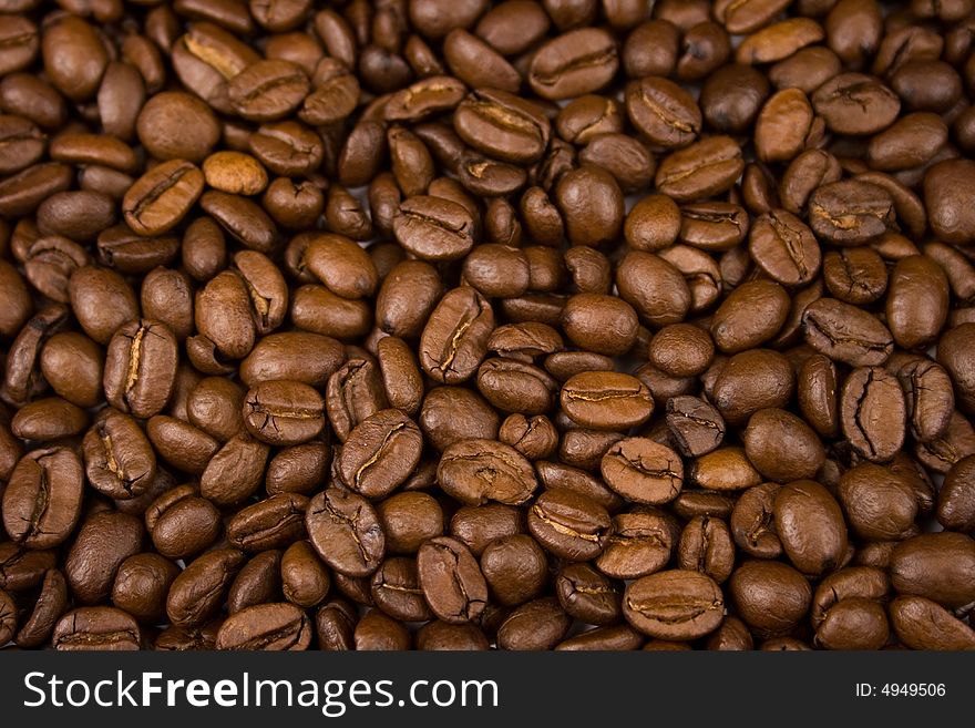 Close up pictures of coffee beans