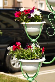 Bowls With Flowers On A Street Stock Images Bowls With Flowers On A Street Stock Images