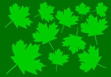 Autumn Leaves Stock Photo Autumn Leaves Stock Photo