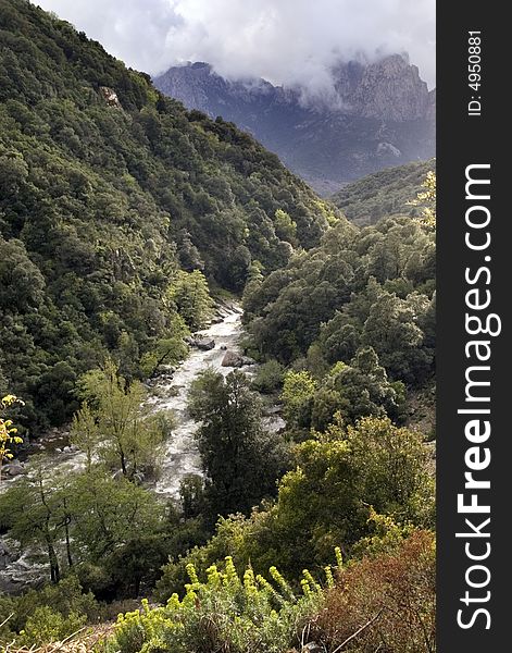 A mountain river in a green valley, Spelunca valley, Corsica. A mountain river in a green valley, Spelunca valley, Corsica