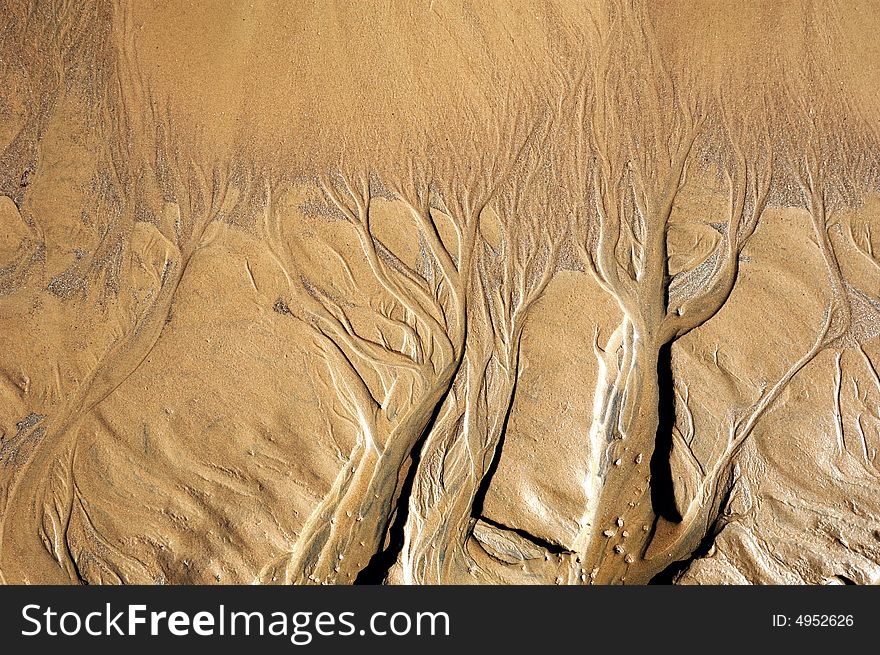 The shape scoured out by thawy ice water on sand. The shape scoured out by thawy ice water on sand