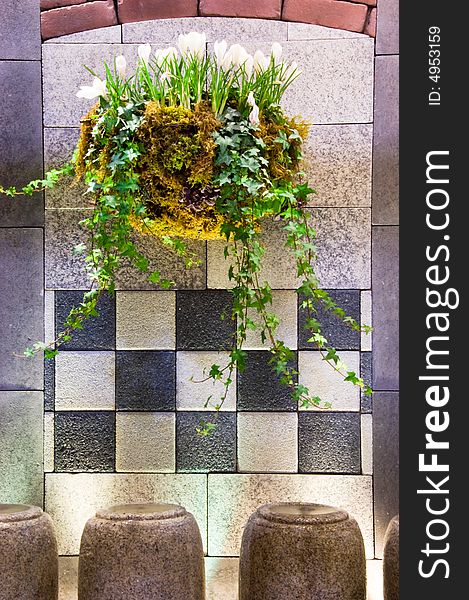 Hanging basket with full of white flowers, green plants and moss on a greyish stone wall. Hanging basket with full of white flowers, green plants and moss on a greyish stone wall