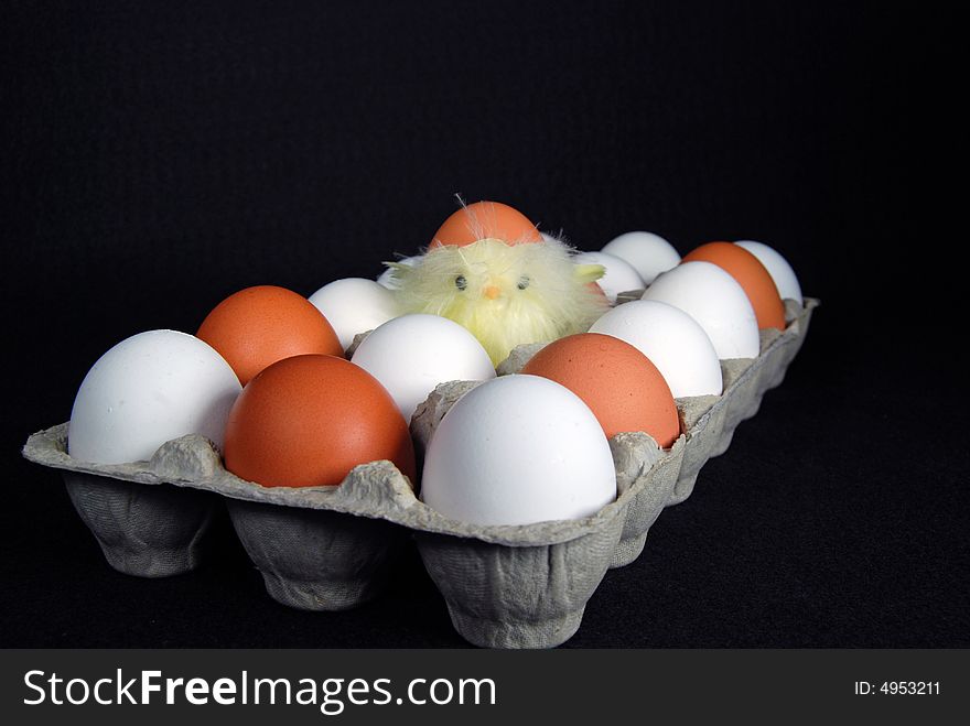 Cute baby chick in a carton of eggs. Cute baby chick in a carton of eggs.