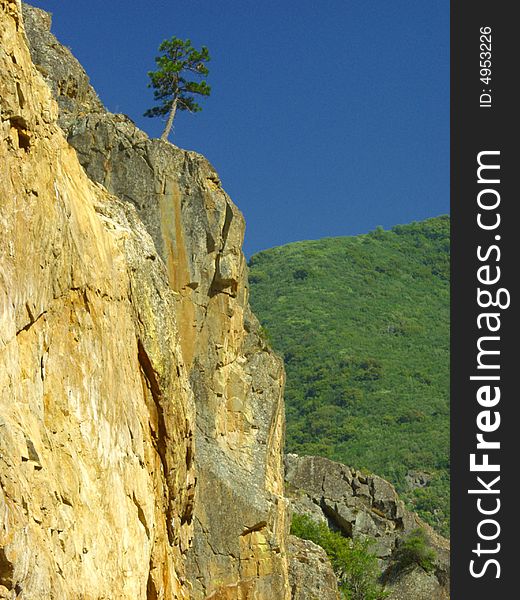 A lone pine tree perched atop a cliff. A lone pine tree perched atop a cliff